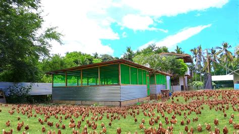 dexters world|dexter world farm.